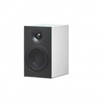 Paradigm Premier 100B